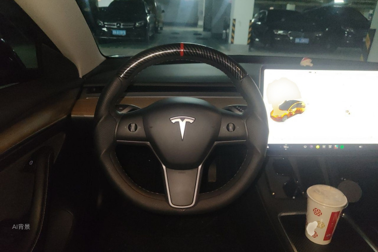 Tesla Model 3 2021 imagem de carro #12