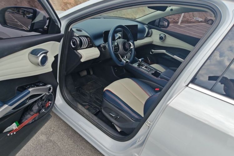 BYD Yuan Plus 2022 #18 BYD Yuan Plus 2022 изображение автомобиля #18
