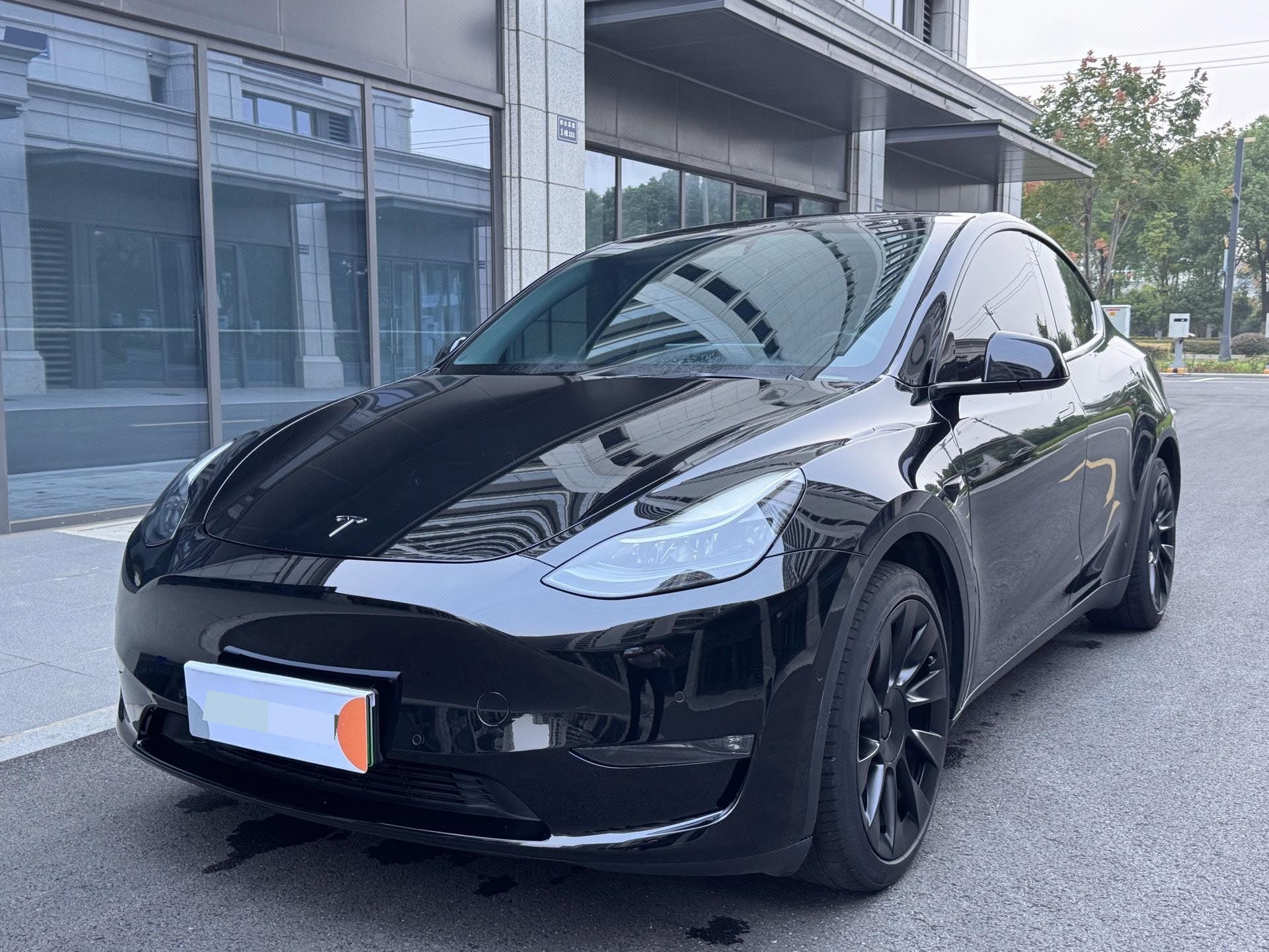 Tesla Model Y 2021 Tesla Model Y 2021 car image