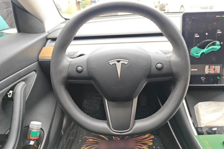 Tesla Model 3 2020 car image #15