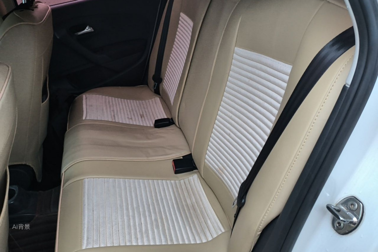 Volkswagen Polo 2017 car image #19