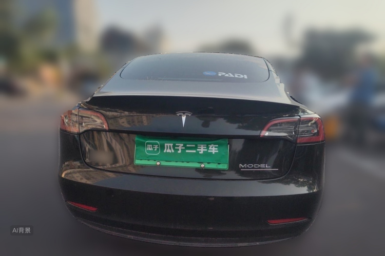 Tesla Model 3 2021 #6 Tesla Model 3 2021 car image #6