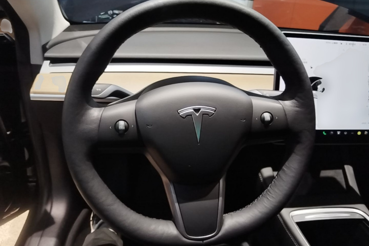 Tesla Model 3 2021 car image #11
