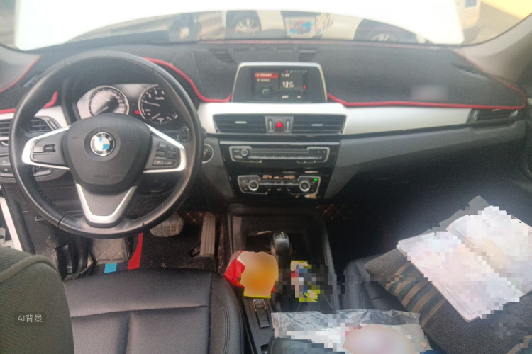 BMW X1 2018 car image #11