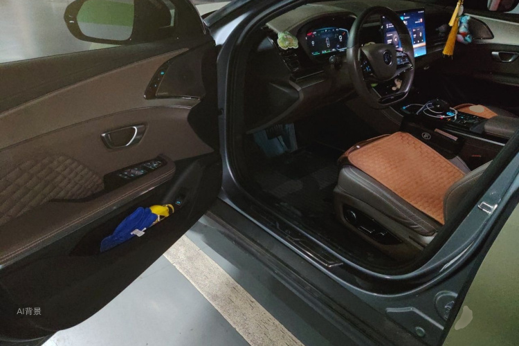 BYD Han 2022 car image #18