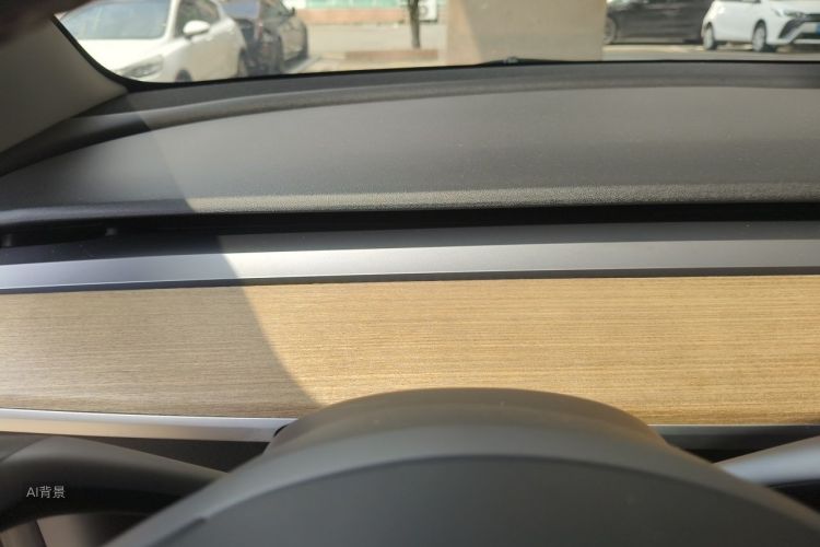 Tesla Model 3 2021 car image #13
