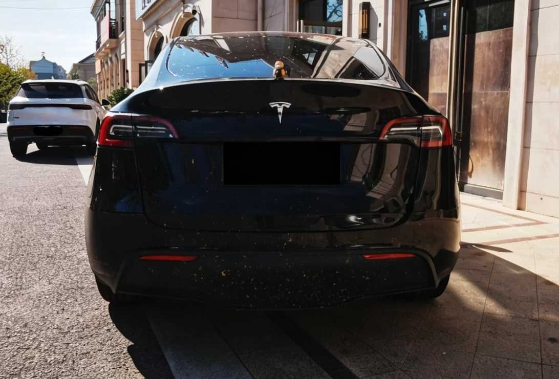 Tesla Model Y 2022 #4 Tesla Model Y 2022 car image #4