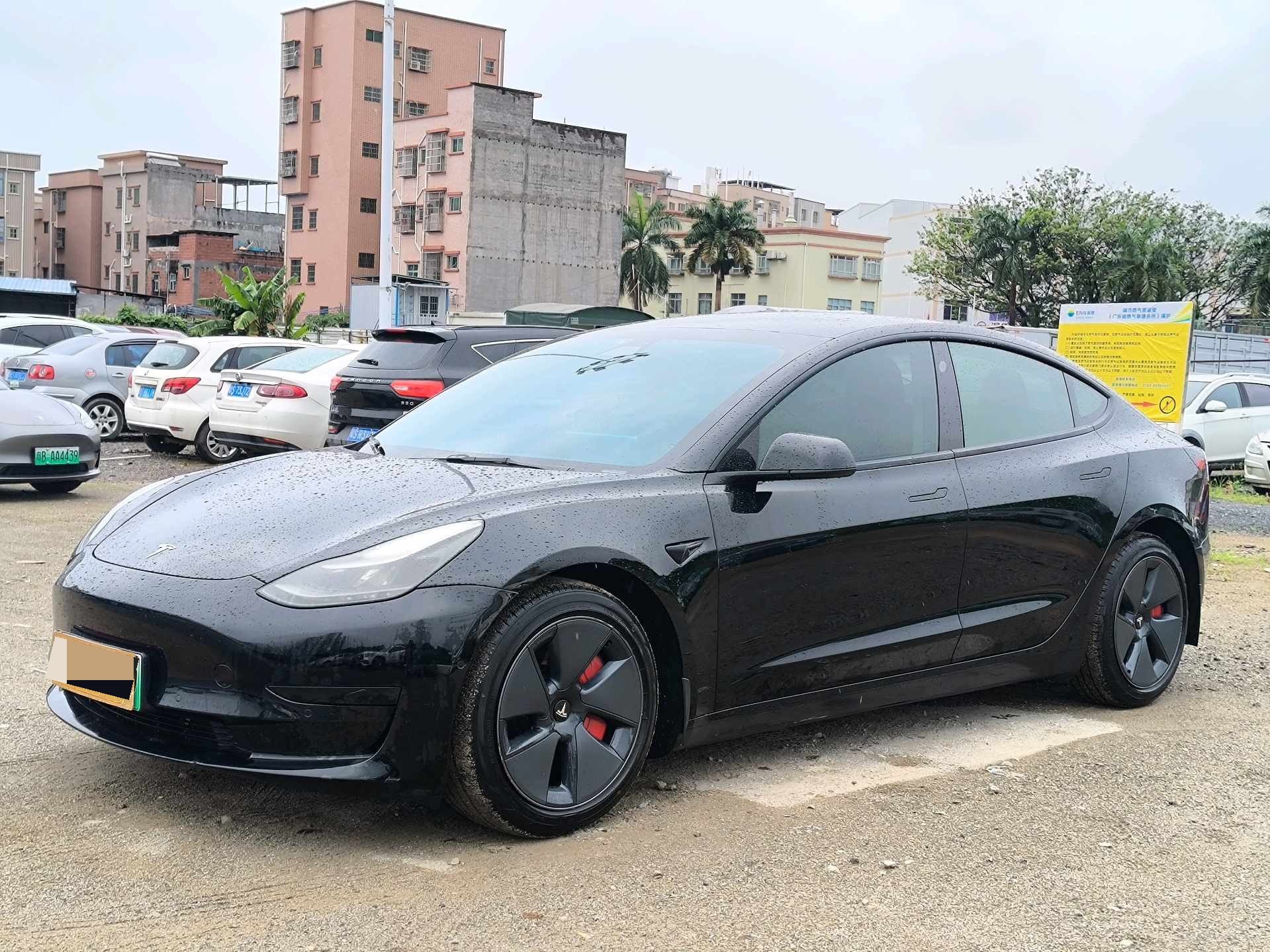 Tesla Model 3 2021 car image 