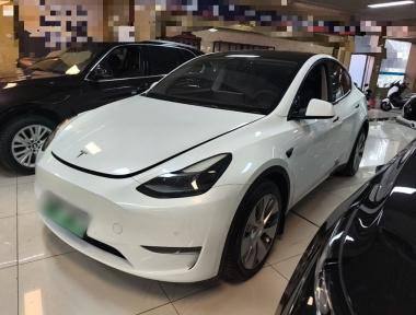 Tesla Model Y 2022 Tesla Model Y 2022 car image