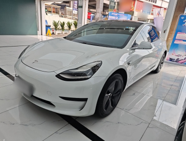 Tesla Model 3 2020 Tesla Model 3 2020 car image