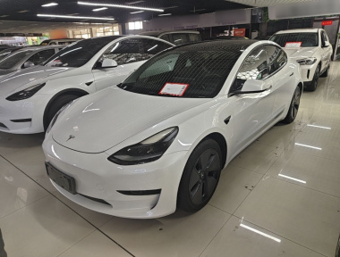 Tesla Model 3 2021 Tesla Model 3 2021 immagine di auto