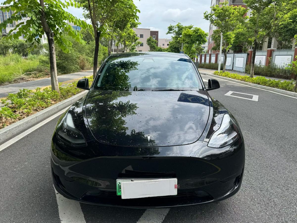 Tesla Model Y 2022 #2 Tesla Model Y 2022 car image #2