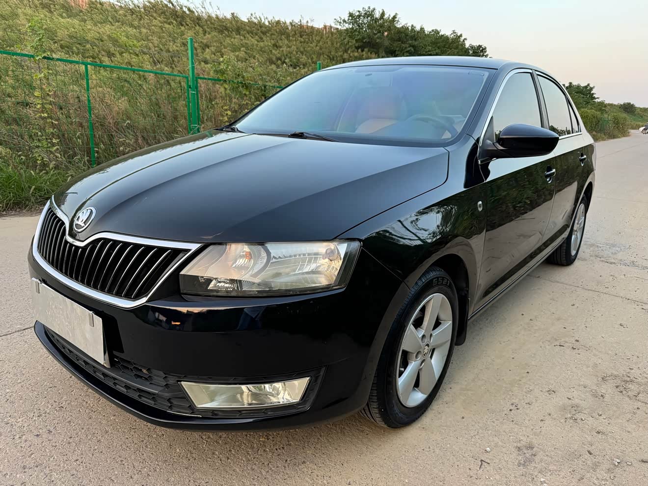 Skoda Rapid 2013 imagen de coche 