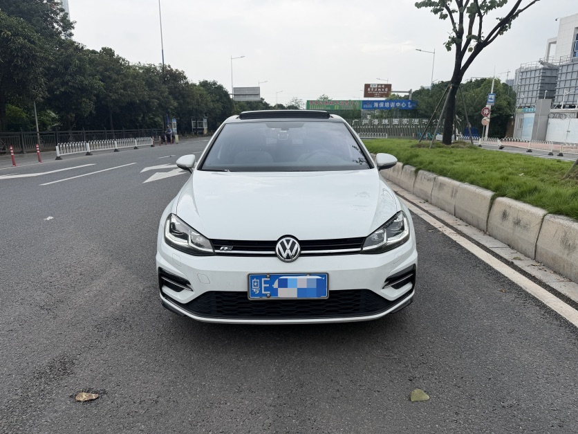 Volkswagen Golf 2019 car image #2