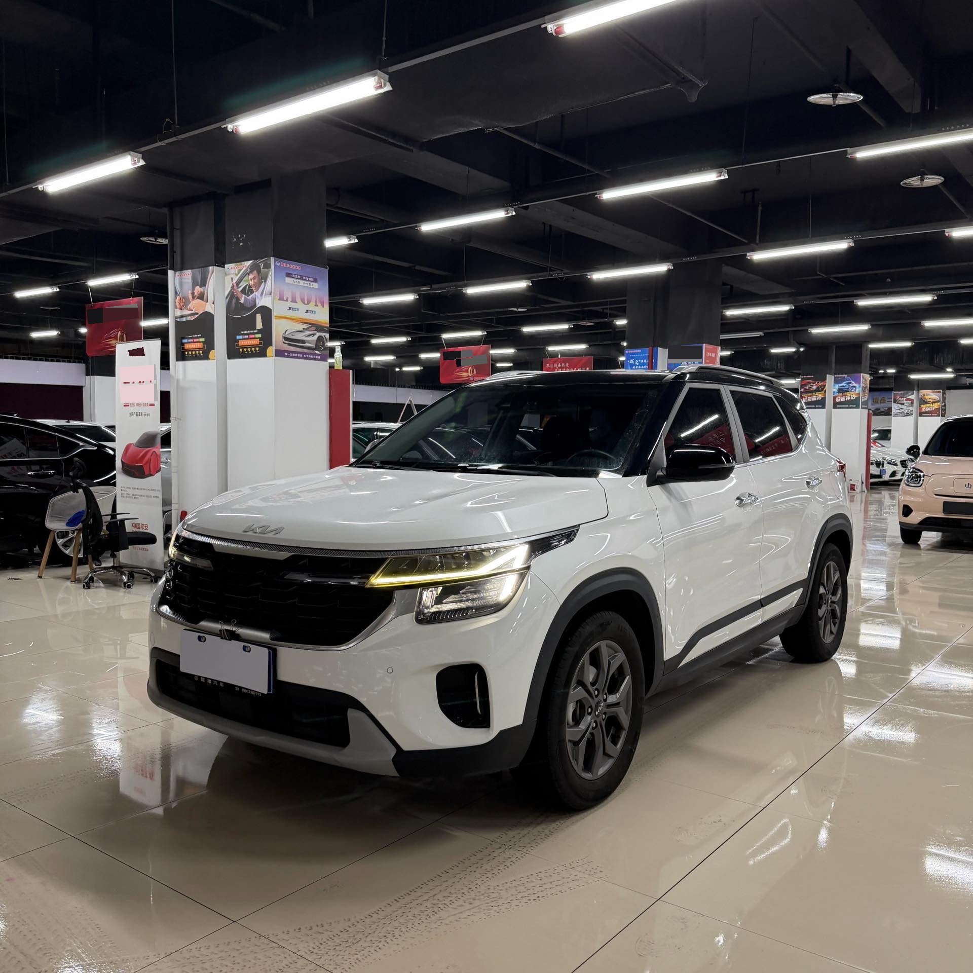 Kia Seltos 2023 car image 