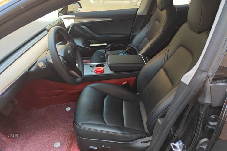 Tesla Model 3 2023 car image #18