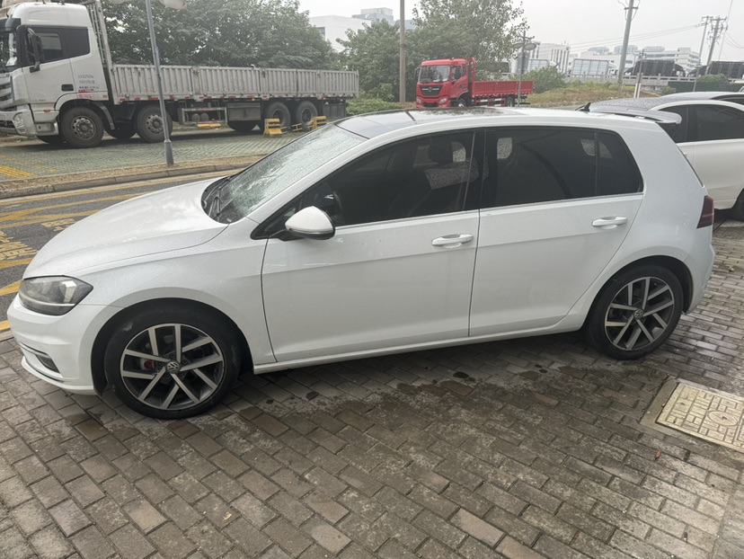Volkswagen Golf 2019 #2 Volkswagen Golf 2019 immagine di auto #2
