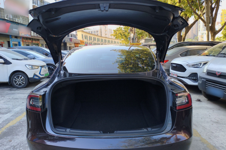 特斯拉 Model 3 2020 汽车图片 #19