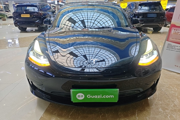 Tesla Model 3 2021 #3 Tesla Model 3 2021 car image #3