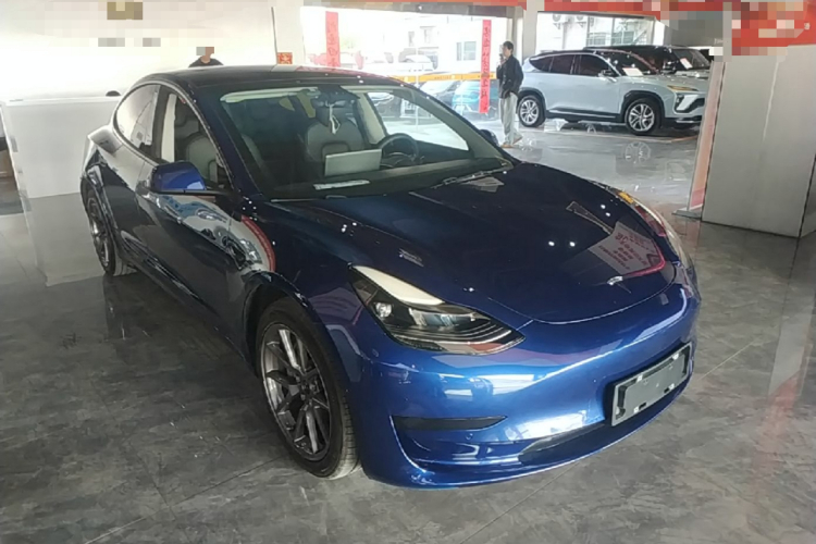 Tesla Model 3 2021 car image #4