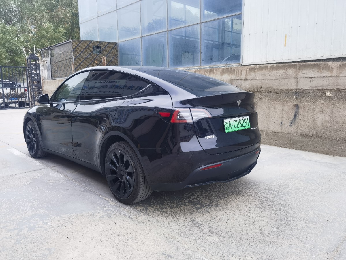 Tesla Model Y 2021 car image #7