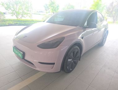 Tesla Model Y 2023 car image 