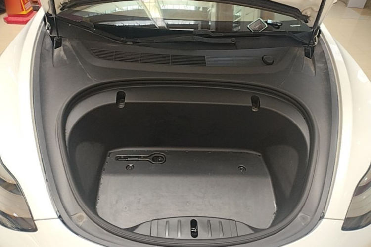 Tesla Model 3 2020 #20 Tesla Model 3 2020 car image #20