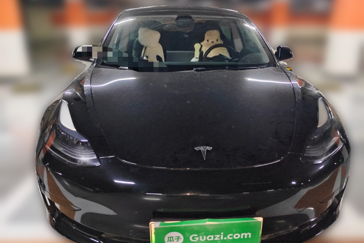Tesla Model 3 2022 car image #3