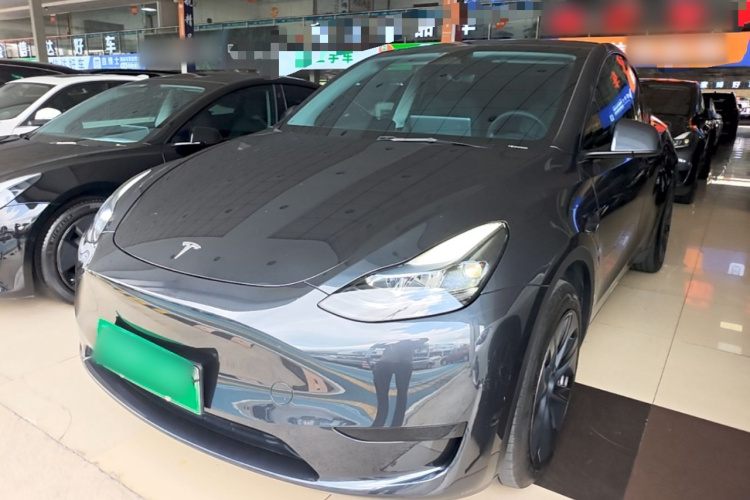 Tesla Model Y 2024 car image #2