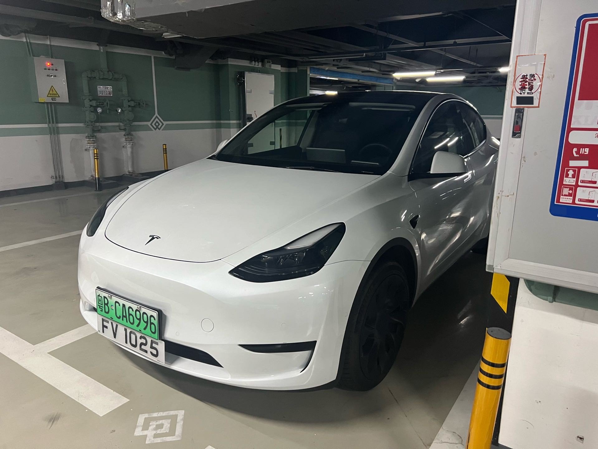 Tesla Model Y 2024 car image 