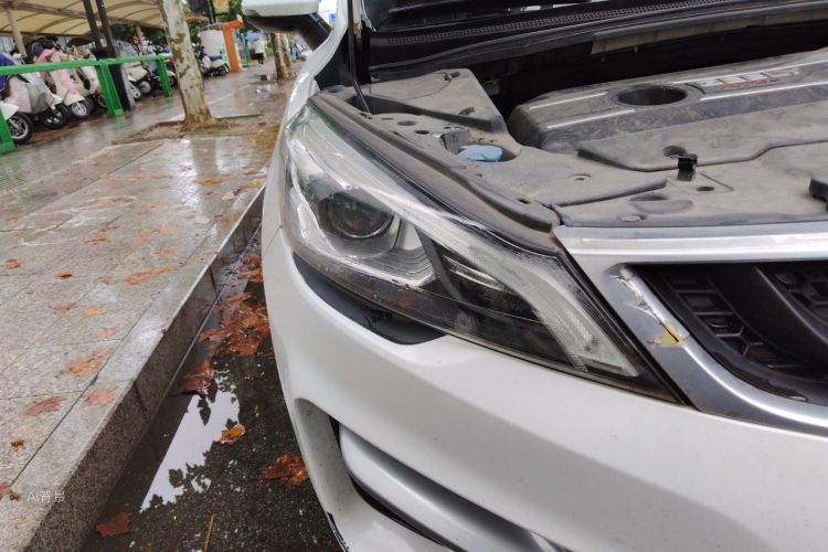 GEELY Emgrand GS 2019 car image #8