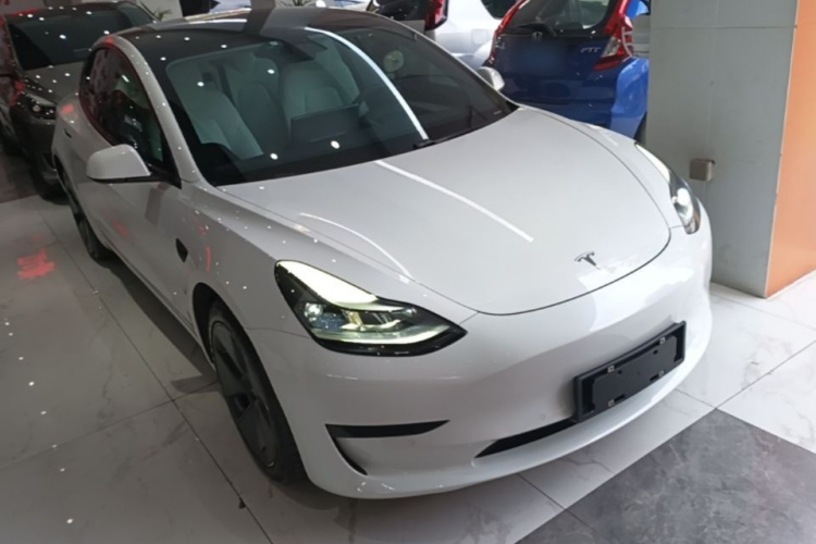 Tesla Model 3 2021 car image #6