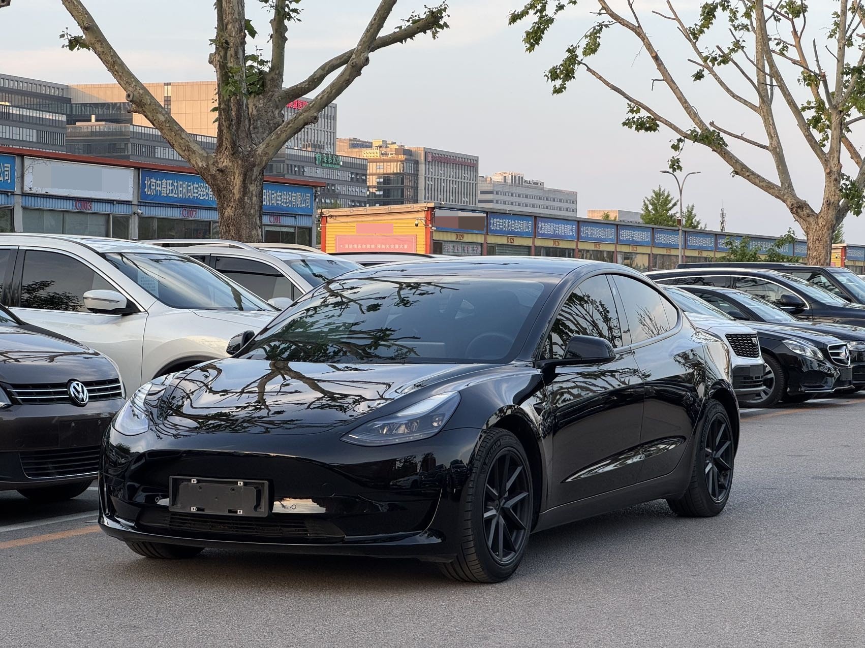 Tesla Model 3 2021 Tesla Model 3 2021 car image