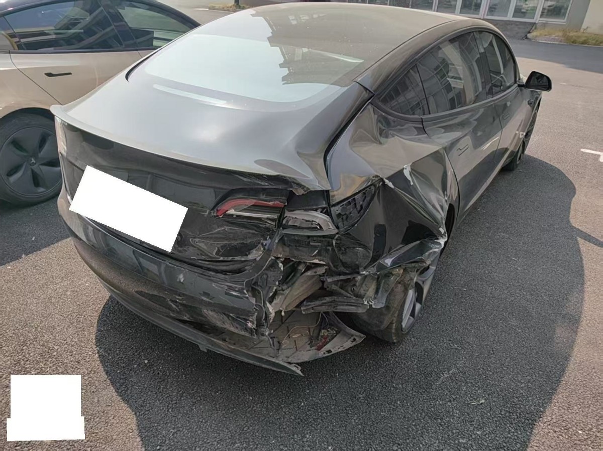 Tesla Model 3 2021 car image #8