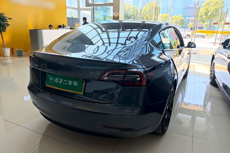 Tesla Model 3 2021 #7 Tesla Model 3 2021 car image #7