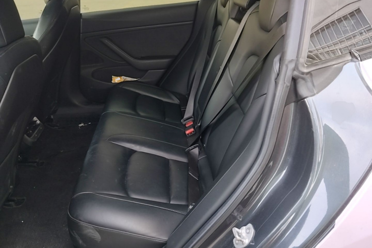 Tesla Model 3 2019 #17 Tesla Model 3 2019 car image #17