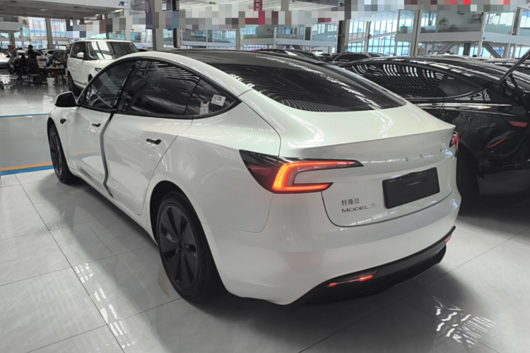 Tesla Model 3 2024 car image #7
