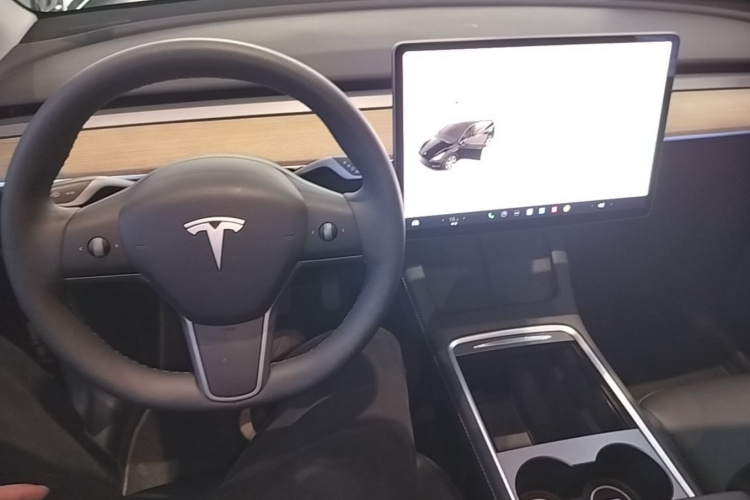 Tesla Model Y 2022 car image #10