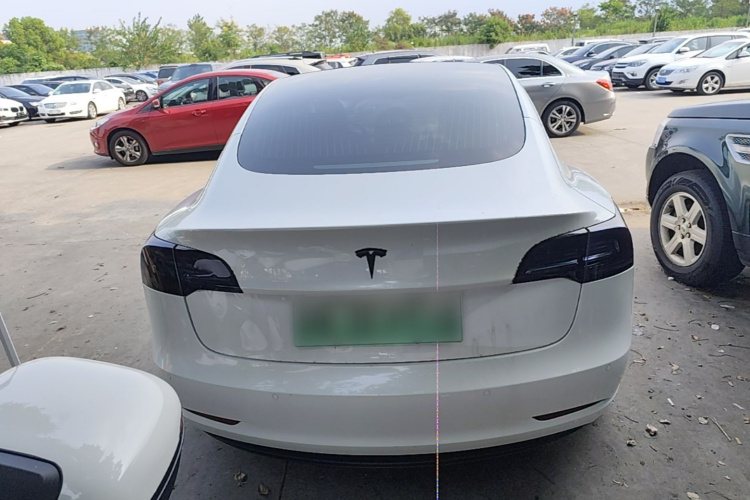 Tesla Model 3 2020 #6 Tesla Model 3 2020 car image #6