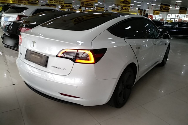 Tesla Model 3 2021 #7 Tesla Model 3 2021 car image #7