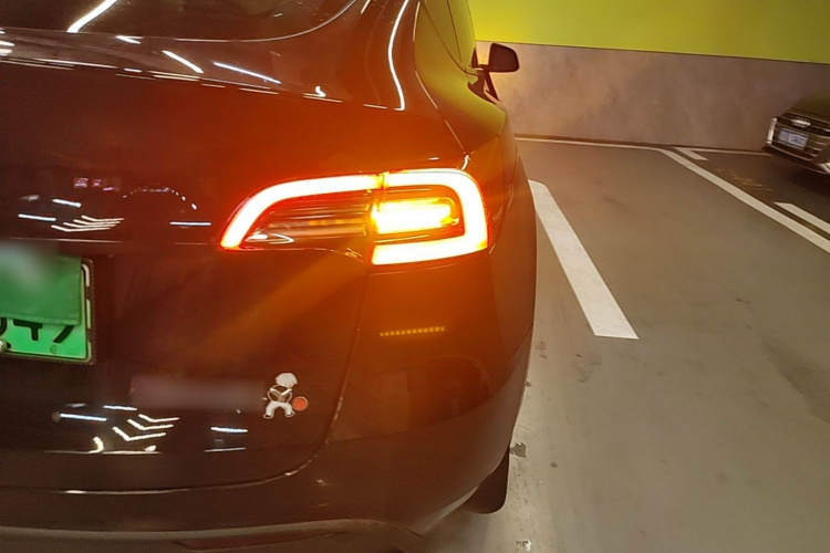 Tesla Model Y 2021 #8 Tesla Model Y 2021 car image #8