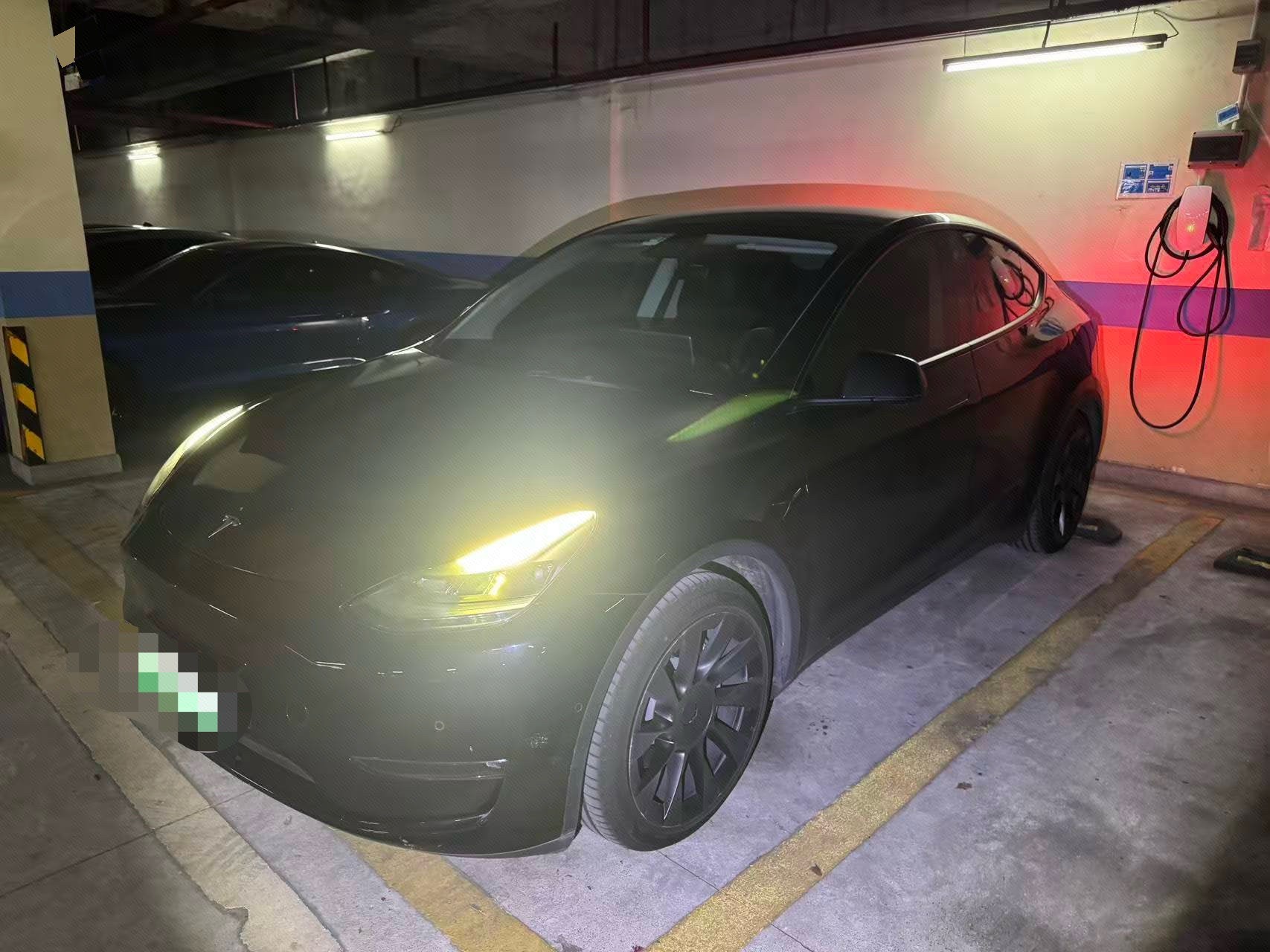 Tesla Model Y 2021 car image 