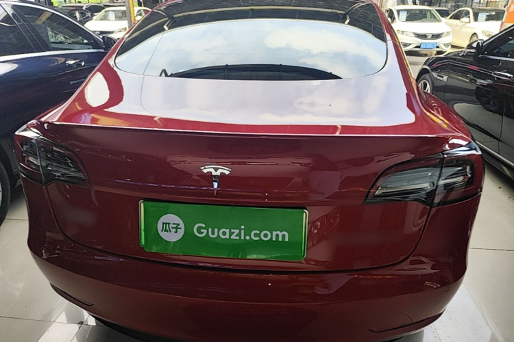 Tesla Model 3 2021 car image #6