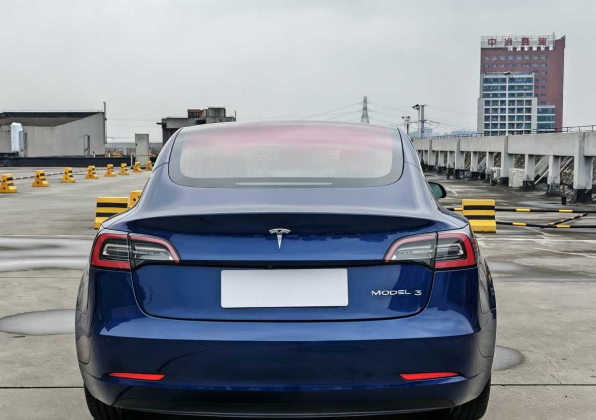 Tesla Model 3 (Imported) 2019 car image #5