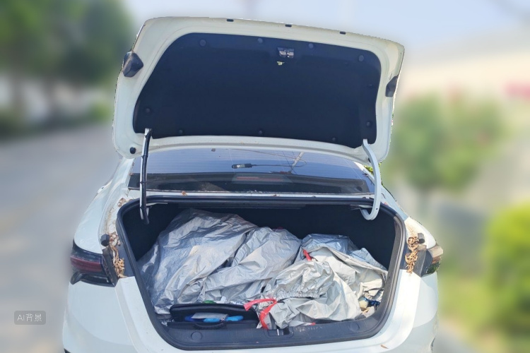 GEELY Binray 2023 #21 GEELY Binray 2023 car image #21