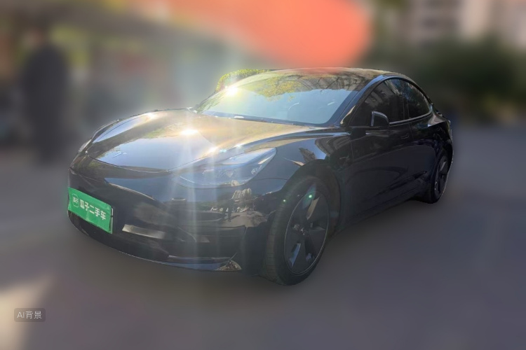 Tesla Model 3 2022 #2 Tesla Model 3 2022 car image #2