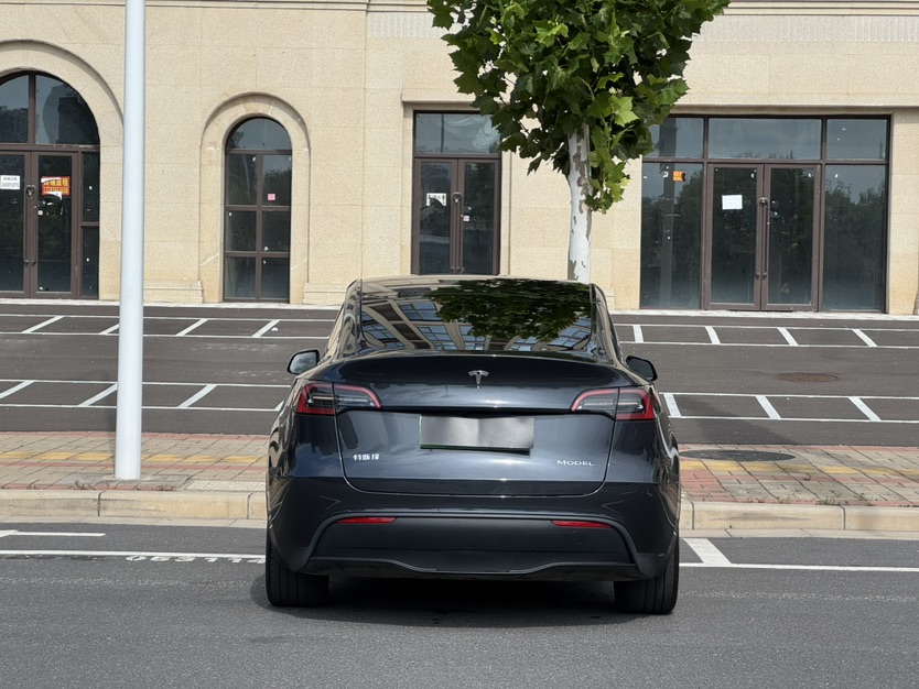 Tesla Model Y 2024 car image #10