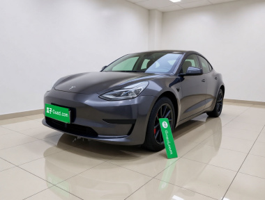 Tesla Model 3 2021 Tesla Model 3 2021 car image