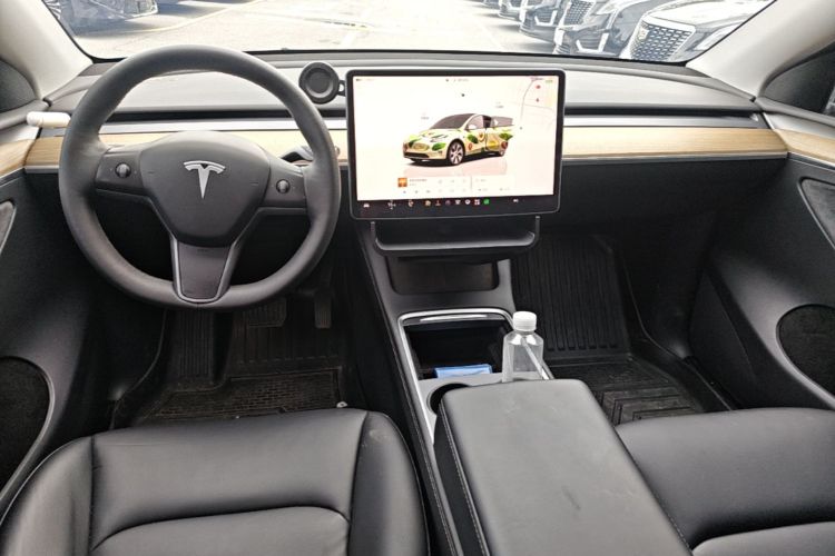 Tesla Model Y 2022 car image #10