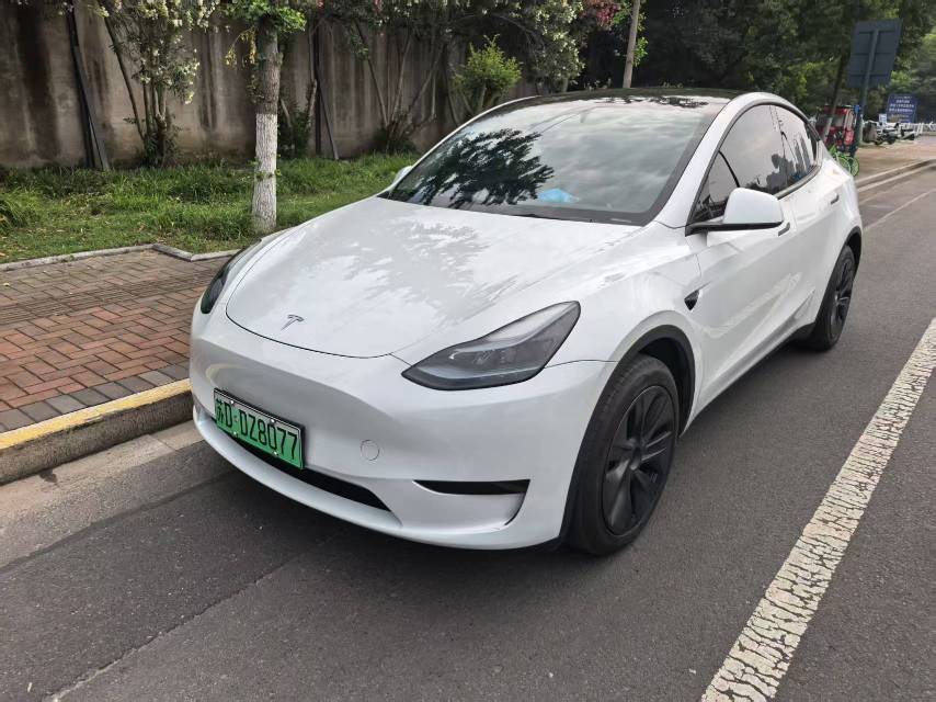 Tesla Model Y 2024 car image 